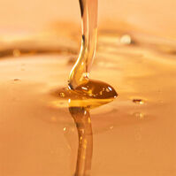 Champú Premium Nº 1 Cebolla  250ml-195159 Champú Premium Nº 1 Cebolla  250ml-195159 1